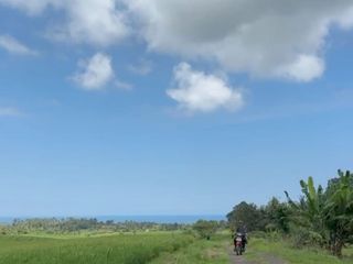 TANAH PREMIUM SELEMADEG TABANAN