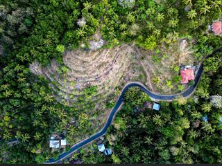 TANAH PREMIUM DI SELEMADEG TEJAKULA BULELENG