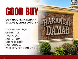 GOOD BUY: Old house and Lot in Damar Village, Quezon City