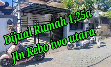 Dijual Rumah 1,25a di Jln Kebo Iwa Utara Denpasar Utara Bali