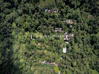 DIJUAL TANAH 39,6 ARE DI PAYANGAN