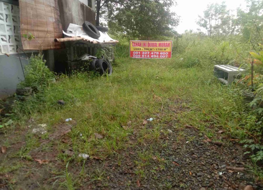 place photo 1