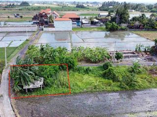 tanah view sawah kedungu