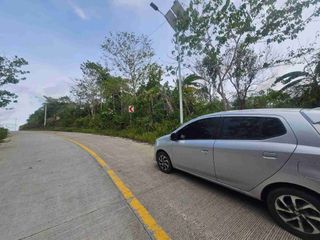 15,809 sqm for sale in Baclayon Bohol near Tagbilaran City 400/sqm