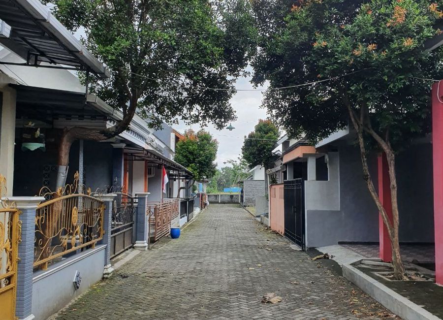 place photo 5