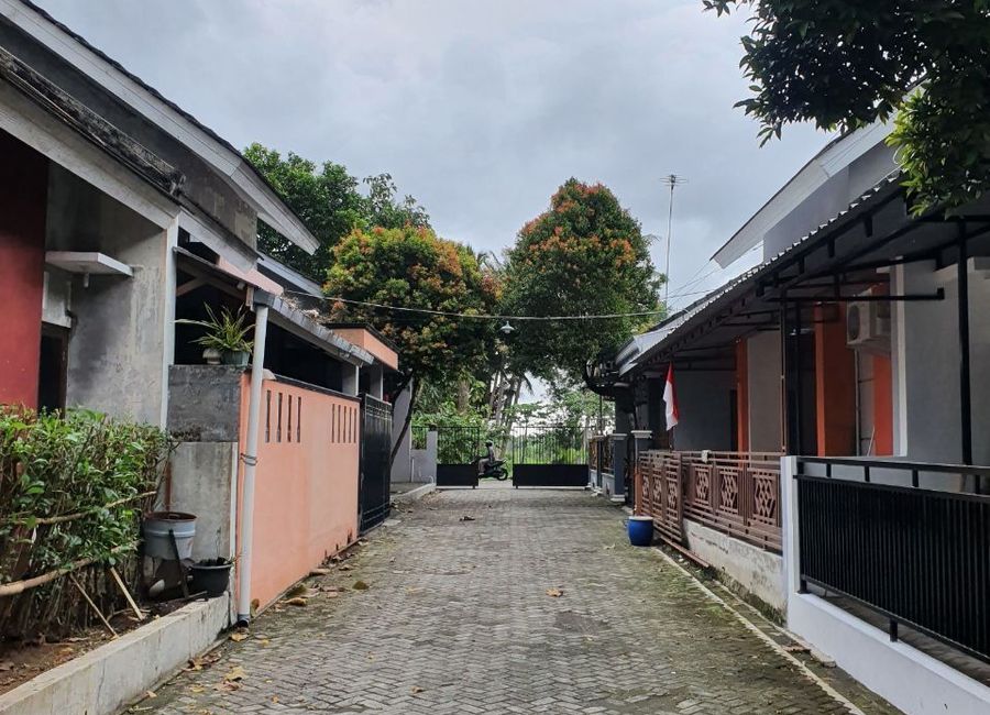 place photo 7