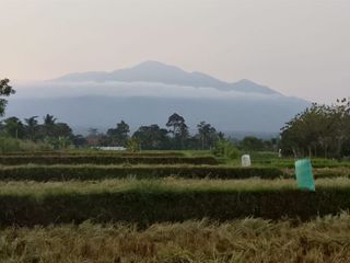 Dijual tanah pinggir jalan desa masuk mobil ada balongnya view pegunungan, 2656 m2, SHM