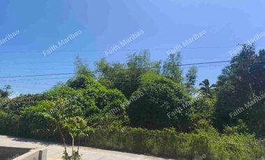 Titled Farm land with 2.2hec @Php16.9M