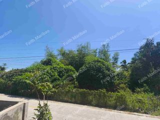 Titled Farm land with 2.2hec @Php16.9M