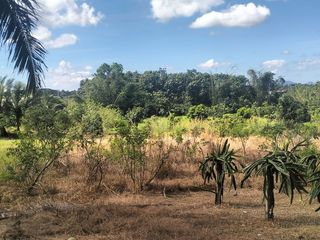 farm Lot with fruit bearings trees near by pass road