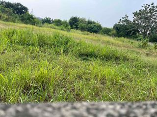 Dijual Tanh Langka,Murah