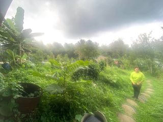 For Sale Productive Organic Farmlot with Piggery, Chickens, Fruits and Vegetables