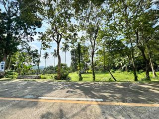 Premium Farm Lot For Sale in Tubigon