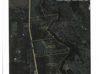 WIDE FRONTAGE LOT FOR SALE ALONG THE MAIN ROAD OF DAMILAG, MANOLO FORTICH, BUKIDNON