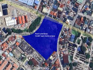 For Lease! 11,830 Sqm at Mandaluyong Lot, Mandaluyong