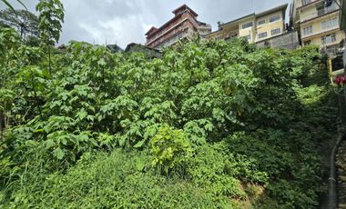 Titled Lot for Sale in Pico, La Trinidad
