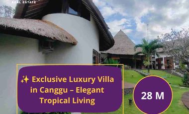 🏝️ FOR SALE – Luxury Villa Canggu