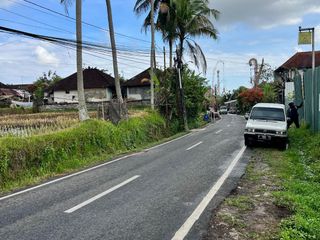 TANAH DI JL UTAWA SUWETA UBUD AREA KOMPLEK VILLA DEKAT CENTRAL UBUD