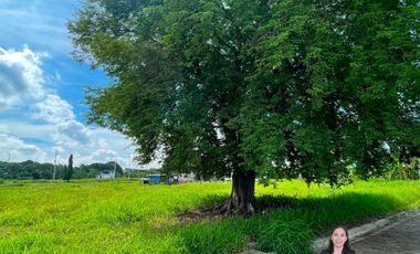 Metro South Village General Trias Lot For Sale