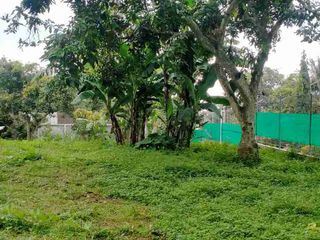 Dijual lahan perkebunan di ngembal Pasuruan