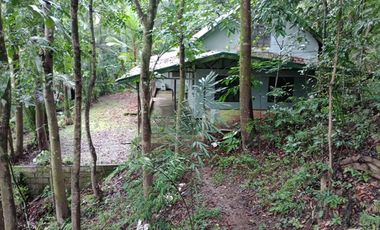 Tanay 1.3ha with vacation house 5 minutes walk to MARILAQUE Sampaloc very nice location