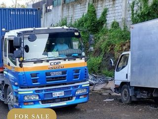 Industrial Lot For Sale in Narra Road, San Antonio, San Pedro Laguna
