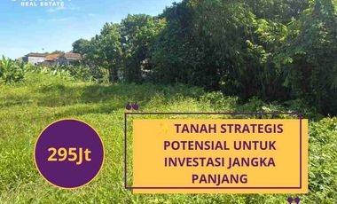 LAND FOR SALE – DALUNG | HARGA MURAH & POTENSIAL INVESTASI 🔥