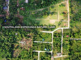 Affordable Farmlot for Sale in Alfonso Cavite