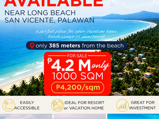 1,000sqm San Vicente Palawan Property for only P4.2m!
