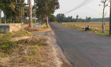 sawah minggir slmn