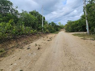 LOT FOR SALE NEAR TAGBILARAN CITY, BOHOL 🌿