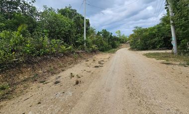 LOT FOR SALE NEAR TAGBILARAN CITY, BOHOL 🌿