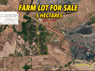 FOR SALE: Farm Lot in Jones, Isabela