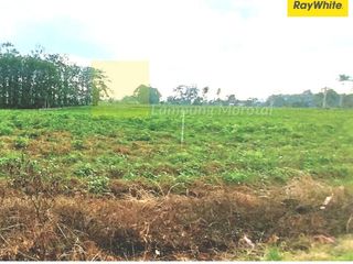 DIjual Tanah Di JL. Ir. Sutami, Tanjung Bintang, Lampung Selatan (Kode : YO-MEL-ALF 3597)