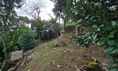 Titled Lot for Sale in Tony Agpaoa Drive, Camp 7, Baguio City