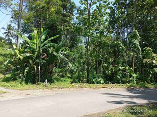 Tanah Darat Pinggir Jalan Siap Bangun Rumah Tinggal dan Berkebun diWangon Banyumas