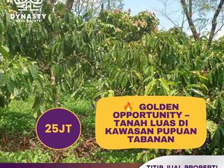 🌿 DIJUAL – Tanah Kebun Produktif View Lembah, Pupuan Tabanan ☕