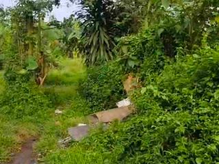 JUAL TANAH DI LEGOK KABUPATEN TANGERANG