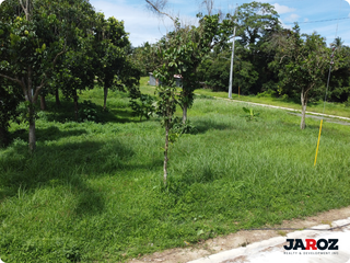 ISABELLA ESTATES | LOT FOR SALE | ALFONSO CAVITE