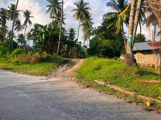 1425 sqm Residential Lot for sale in Tubod, Bacong