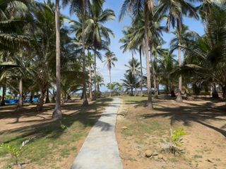Dream Retirement Beach House in Palawan