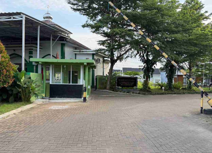 place photo 2