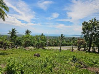 🌴 OVERLOOKING SEAVIEW & CEBU ISLAND VIEW LOT FOR SALE – TUBIGON, BOHOL 🌊