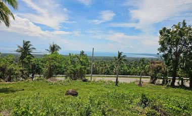 🌴 OVERLOOKING SEAVIEW & CEBU ISLAND VIEW LOT FOR SALE – TUBIGON, BOHOL 🌊