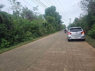 🌴 PRIME 4,870 SQM COMMERCIAL & RESIDENTIAL LOT FOR SALE – LIBAONG, PANGLAO, BOHOL 🌴