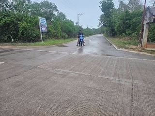 🌴 520 SQM CLEAN TITLED LOT FOR SALE IN PANGLAO, BOHOL 🌴near Airport