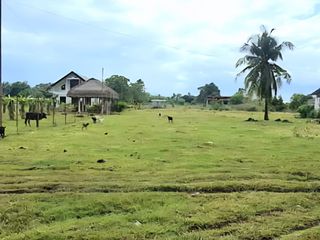 Lot for Sale – Tawala, Panglao, Bohol