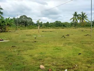 Lot for Sale – Tawala, Panglao, Bohol
