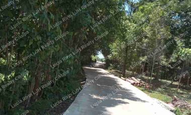 Dijual Kebun Luas Dekat Pantai Carita