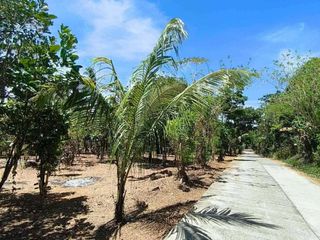 TITLED RESIDENTIAL FARM LOT FOR SALE IN ALFONSO CAVITE, 3 YEARS TO PAY, NO INTEREST!